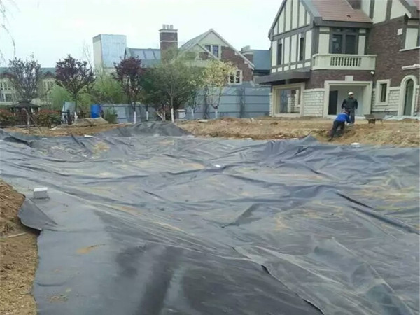 张家口养鱼的土工膜,防漏hdpe土工膜图片第4张 张家口养鱼的土工膜,防漏hdpe土工膜图片第4张-盈旭土工材料