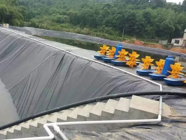 池塘防渗膜图片第3张 池塘防渗膜图片第3张-盈旭土工材料