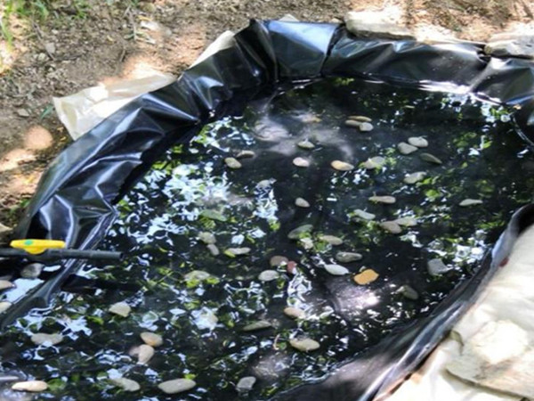池塘防渗膜图片第2张 池塘防渗膜图片第2张-盈旭土工材料