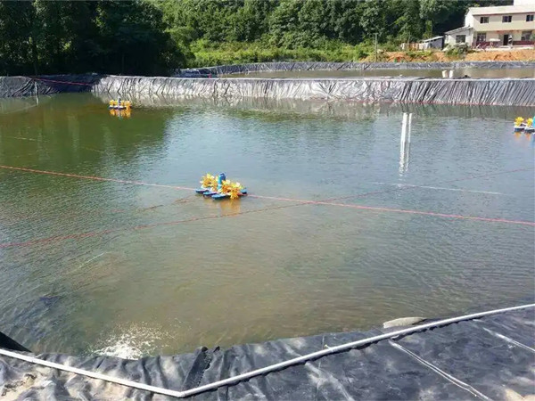 池塘防渗膜图片第1张 池塘防渗膜图片第1张-盈旭土工材料