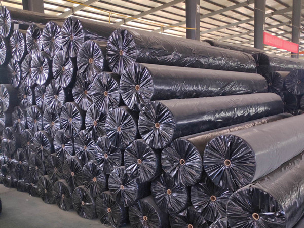 浙江长丝土工布hdpe土工膜图片第4张 浙江长丝土工布hdpe土工膜图片第4张-盈旭土工材料