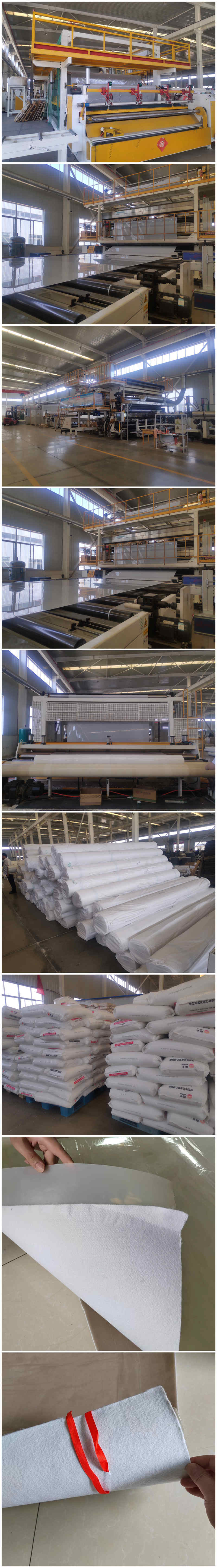 许昌高速隧道工程里防水板图片第1张 许昌高速隧道工程里防水板图片第1张-盈旭土工材料